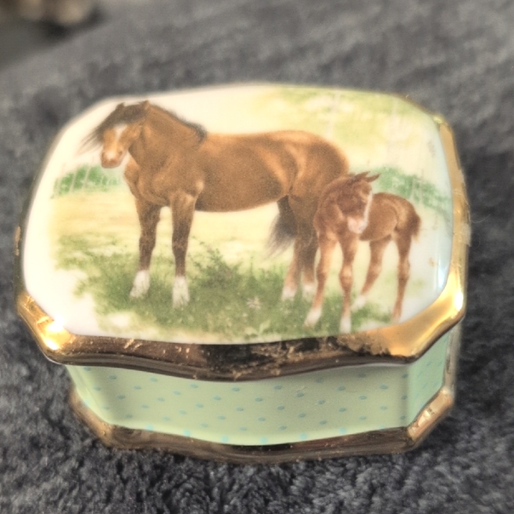 Ayshford Fine Bone China Trinket Box
